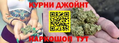 прущие крисы Будённовск