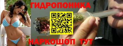 прущие крисы Будённовск