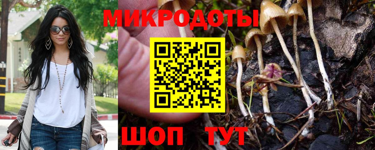 Пугачёв  как найти   Вход с VPN  Галлюциногенные грибы Psilocybine cubensis 